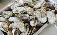 国模盈盈扒B12O人体私拍